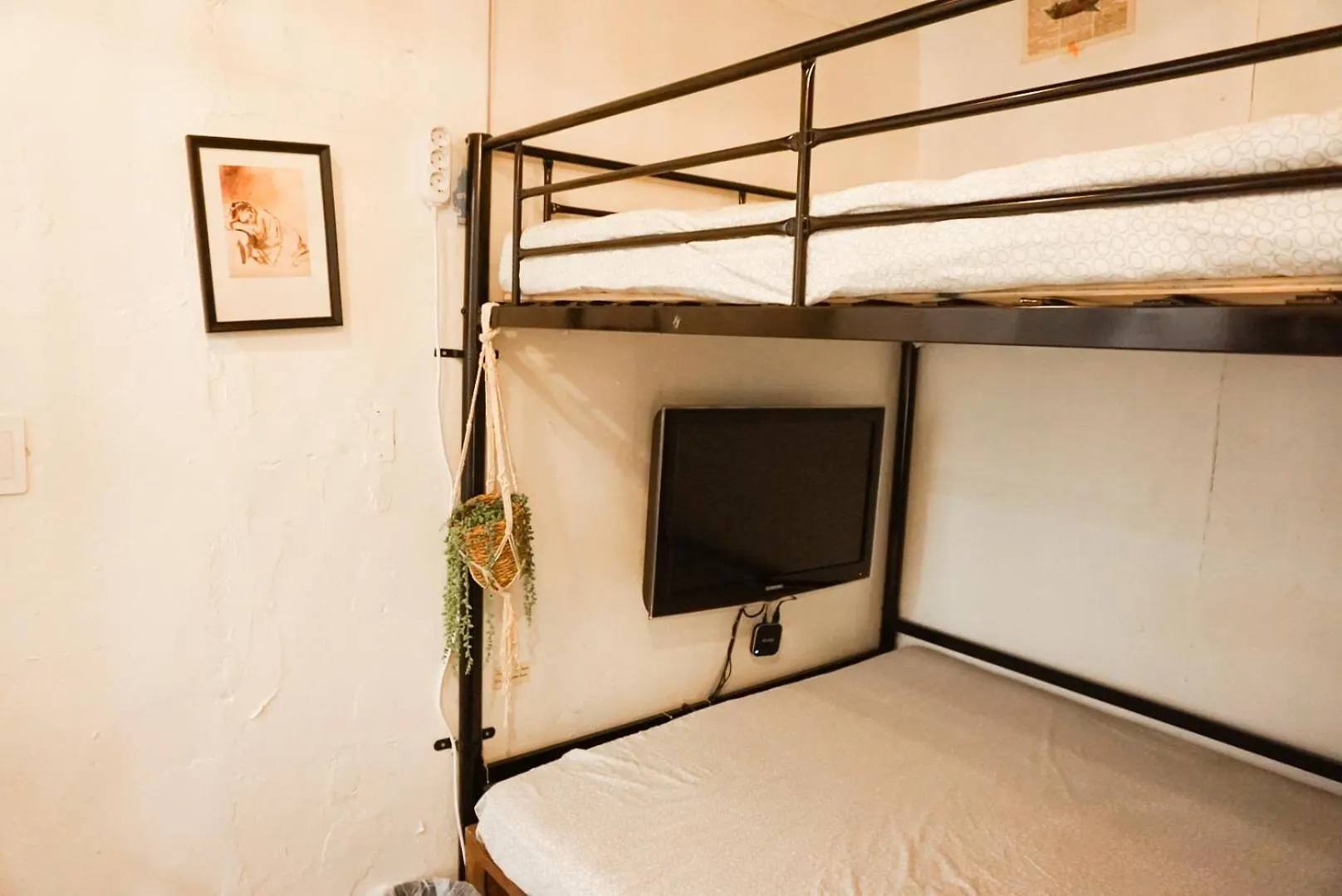 Space Ara Seoul Hostel